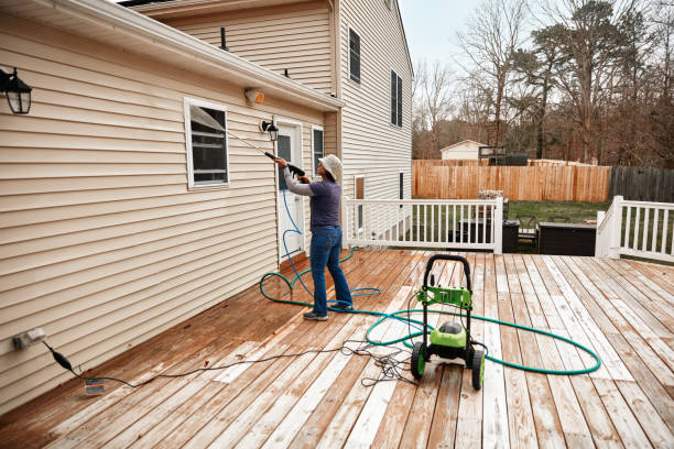 Best Roof Pressure Washing  in Bement, IL