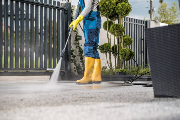 Best Sidewalk Pressure Washing  in Bement, IL