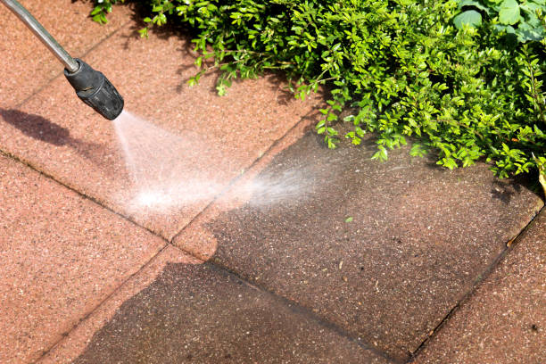 Best Pressure Washing Near Me  in Bement, IL